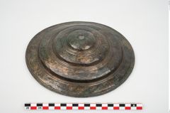 Foto von Bronzephalere (NHMW-PRAE-025640)